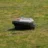 Robot Lawn Mower vs. Traditional Lawn Mower: Which Is Better?