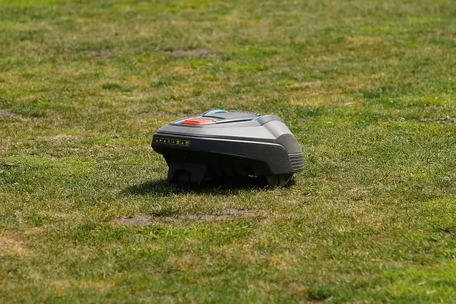 Lawn Mower